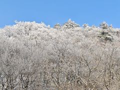 -浙西天池景区