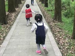 -同里国家湿地公园