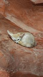 -Zoolung Zoolung动物主题公园(海信广场店)