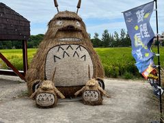 -嘉北郊野公园