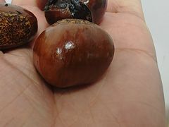 -王老头炒货(天坛东路店)