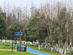 -艾溪湖湿地公园
