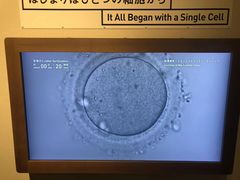 -日本科学未来馆