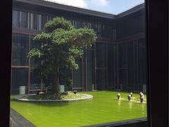 -上海崇明金茂凯悦酒店