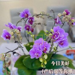 -产后帮产后修复(首城国际店)