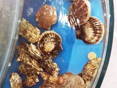 -四海鲜渔家菜(黄金海岸店)