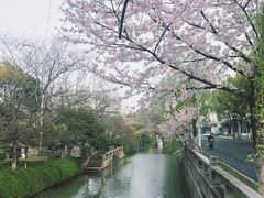 -苏州上方山国家森林公园