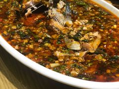 藿香河鲤-鸡毛店·川菜(双楠店)