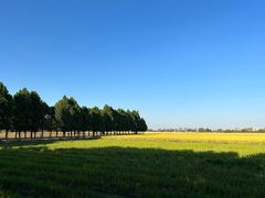 -嘉北郊野公园