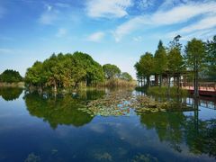 -贡湖湾湿地公园