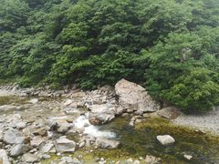 -沣峪口
