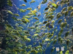 -海合安青岛极地海洋公园