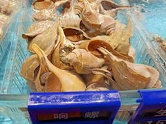 -1718海鲜姿造(苏宁宴请臻选店)