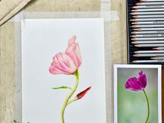 -美路缘艺术空间