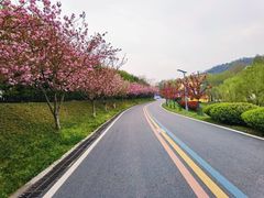 -金陵矩阵(聚宝山公园店)