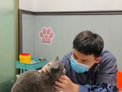 -伟伟宠物医院·瑞派猫友好医院·猫科(光谷店)