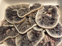 海底捞火锅(上元大街店)-海底捞火锅(上元大街店)