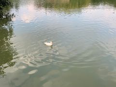 -海珠湖公园