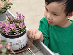 -菊园百果园