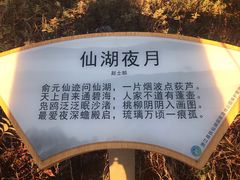 -静和鱼庄