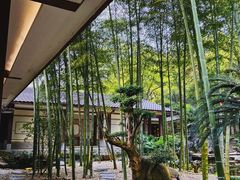 -南山植物园