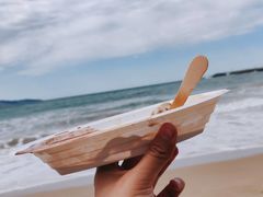 -Dooley's Premium Ice Cream