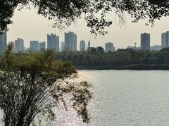-南宁南湖公园