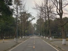 -四川大学(望江校区)