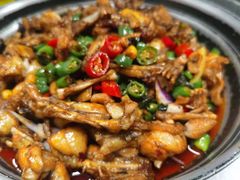 -蛙小侠(珠海华发商都店)