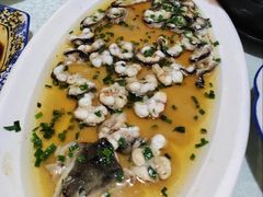 -呼吸森林·生态农庄农家乐私房菜