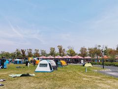 -春花秋色城市公园