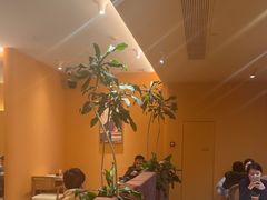 -美泰·Mangothai·清迈云街(天空之城店)