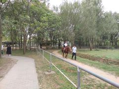 -宿豫区运河湾森林动物园