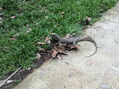 android_upload_pic-Ban Raya酒店