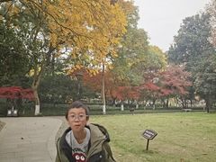 -西湖天地