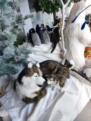 -IMON·HANSA潮玩玩偶毛绒玩具(通州万象汇店)