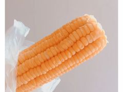 蒸玉米-上海财经大学清真食堂(国定路店)