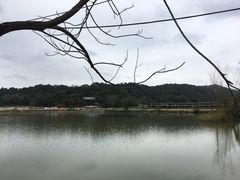 -芦仙山景区-飞越丛林探险乐园