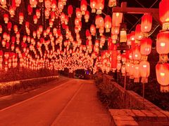 -巴倒烫陆派重庆火锅(南山店)