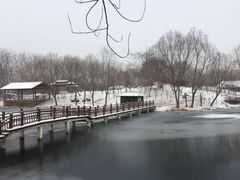 -滕州微山湖红荷湿地景区