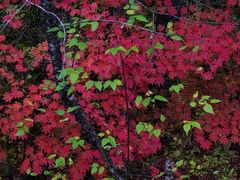 -长白山万达国际度假区