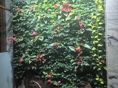 -浅深(北京北四环精品店)