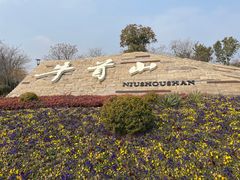 -牛首山文化旅游区