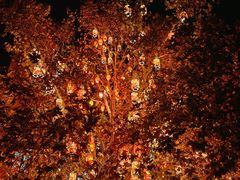 -北京市海淀外国语实验学校