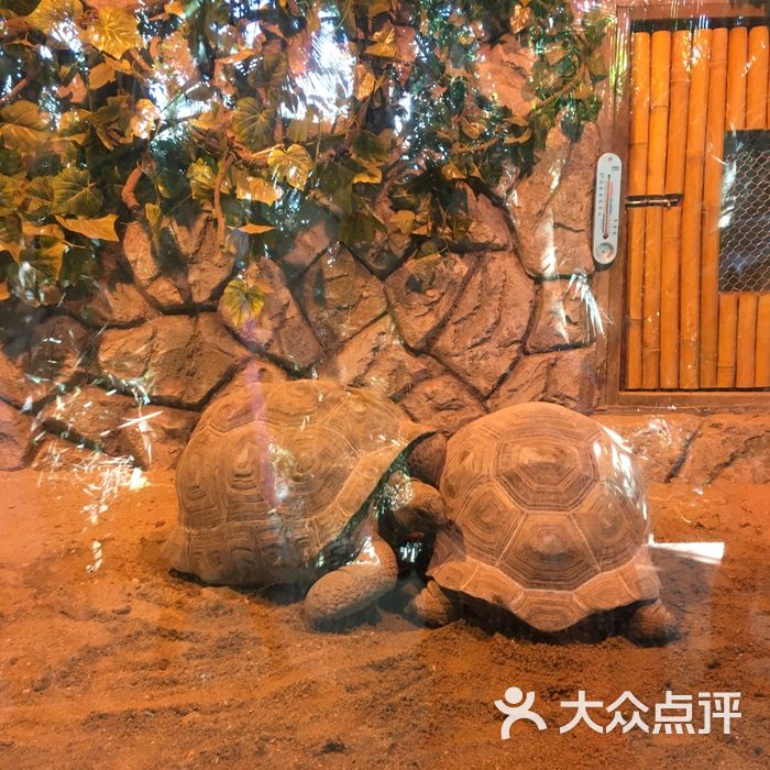 三亞彩色動物園