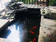 -三溪村