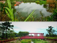 -芒洲湿地公园