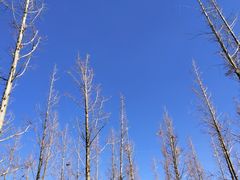 -呈贡滇池生态湿地公园