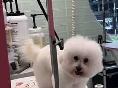-FAELING PETS美天灵宠物(合生汇店)