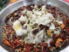 沸腾黑鱼-天天沸腾(东港路店)